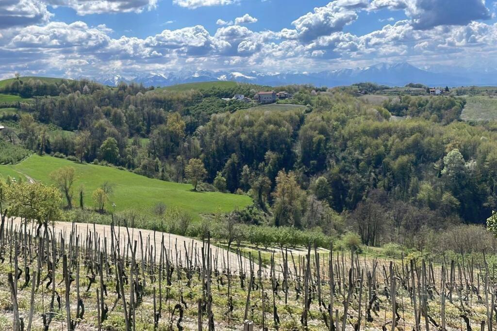 הוילה Belvedere Langhe Spicchio Di Langa - Casa Indipendente Tra Le Vigne E Le Alpi מראה חיצוני תמונה